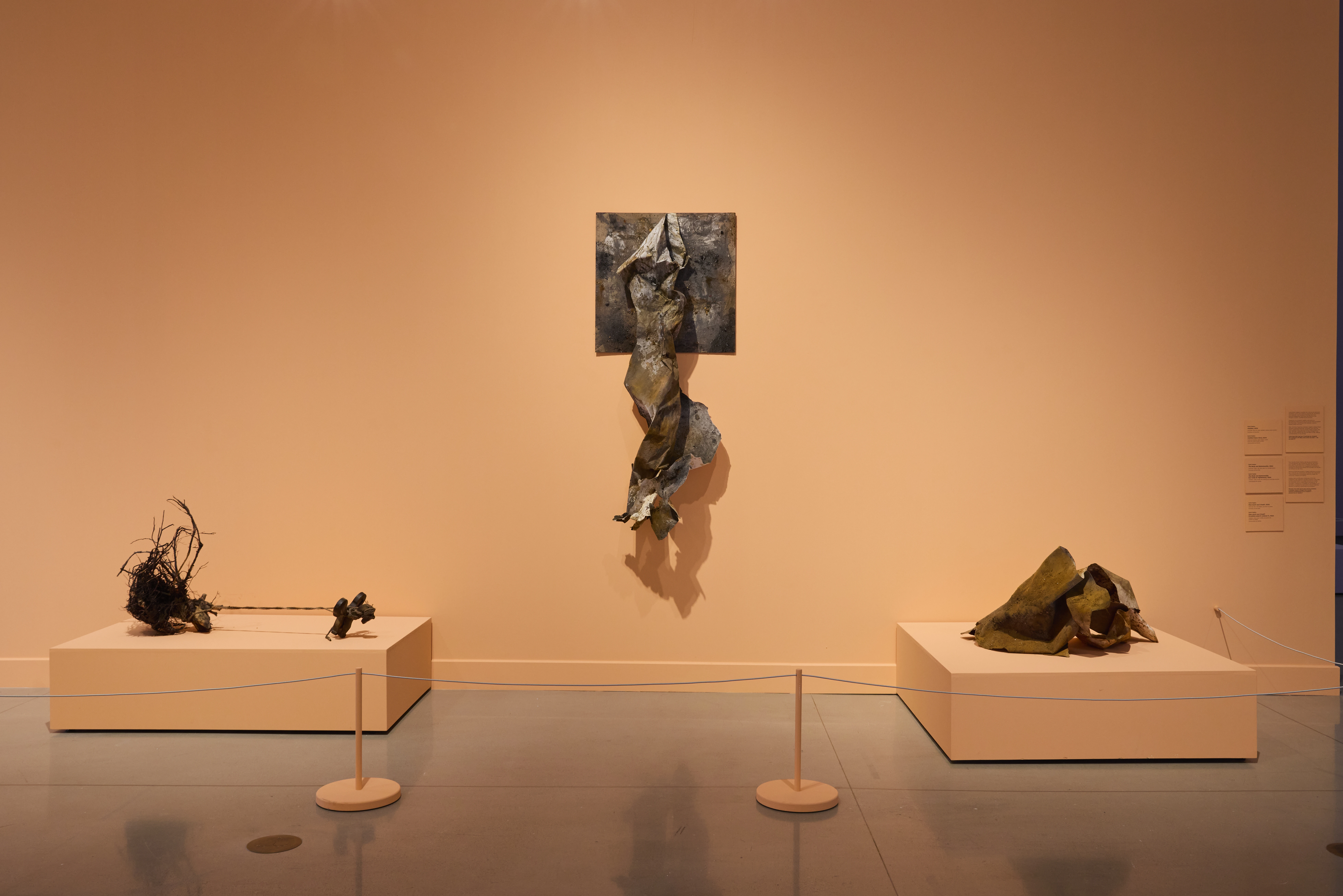 Endless Becomings exhibition at Ottawa Art Gallery by Sarah Patricia Hughes, 2025